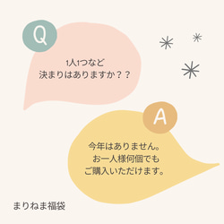 手作りキット⭐3セット選べる福袋！⭐11,000円⭐ハッピーバッグ2025 5枚目の画像