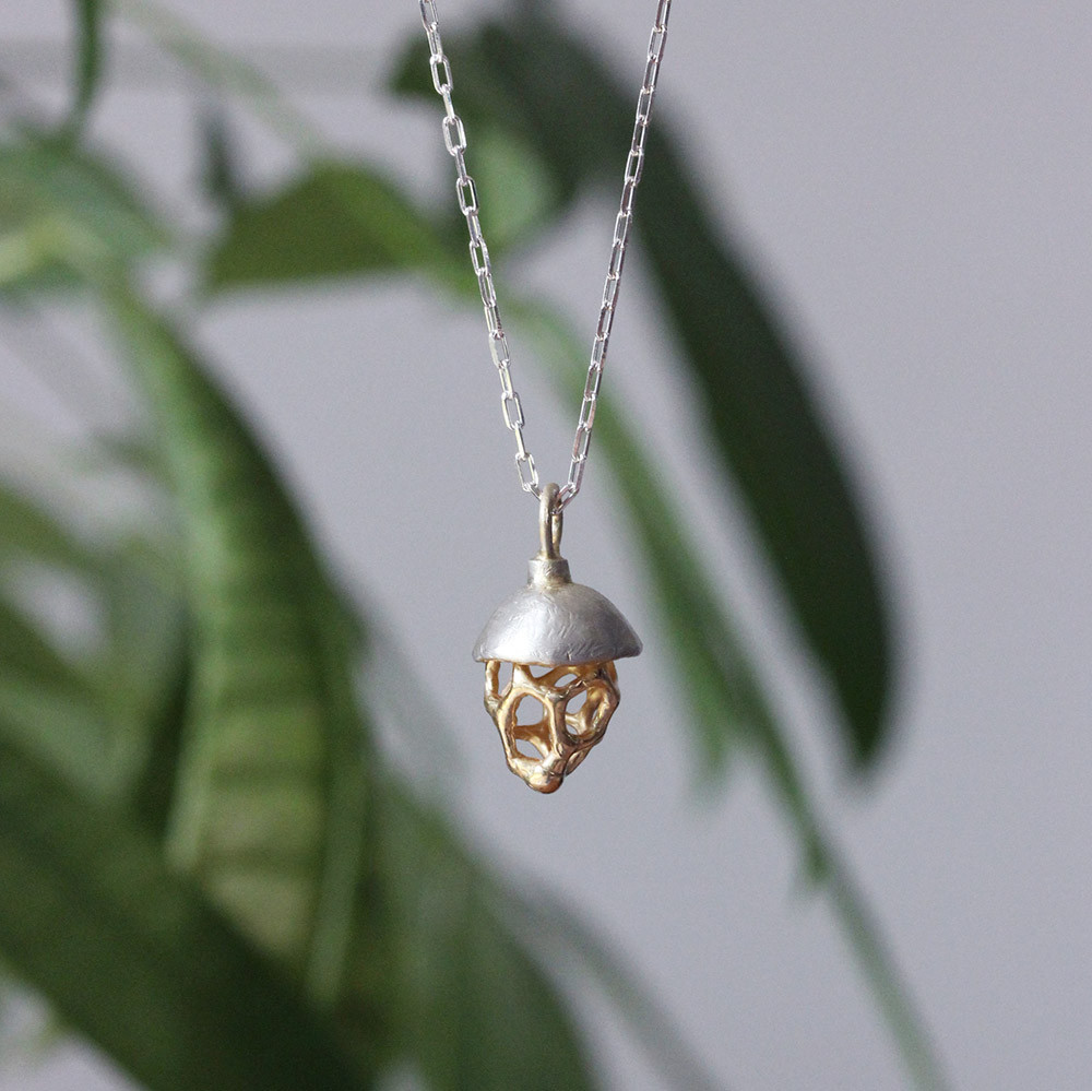 不思議な種のネックレス