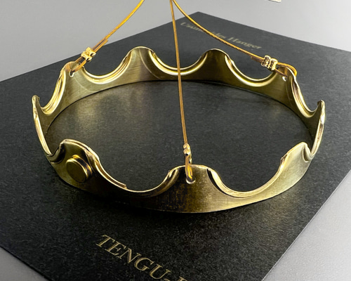 ウスネオイデス 専用ハンガー 【クラウンモデル】 一輪挿し