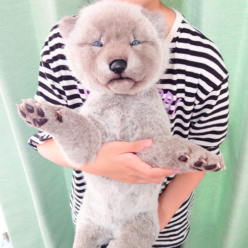 生後20日 オオカミ 赤ちゃん 仔 狼 ぬいぐるみ 布製 アート 生後20日 オオカミ 赤ちゃん 仔 狼 ぬいぐるみ 布製 アート