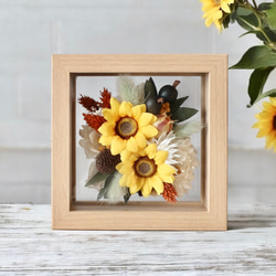 ❇️ひまわり ドライフラワー❣️ 楽天市場】ひまわり ドライフラワーの通販