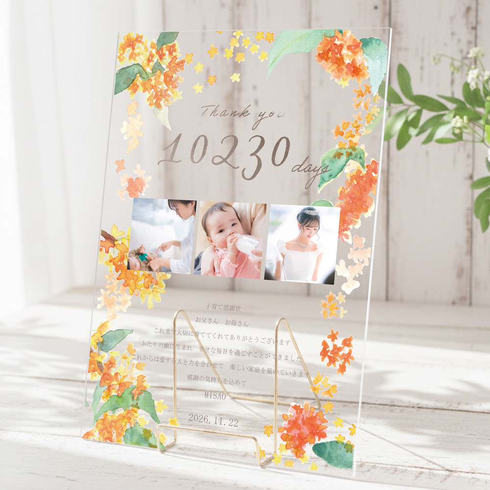 両親贈呈品 金木犀の感謝状 アクリル 写真入り 名入れ可  キンモクセイ