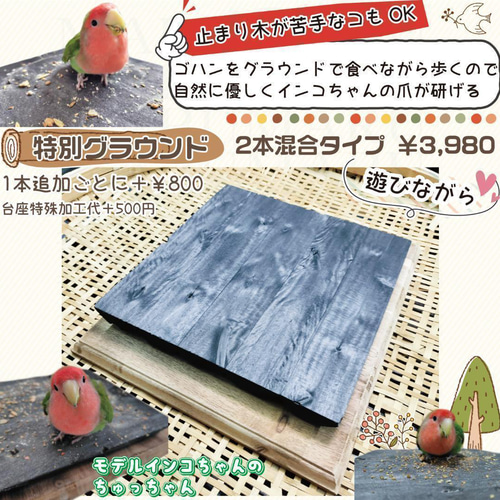 インコブランコ 爪とぎ 備長炭止まり木 Sサイズ ③番 文鳥 小型