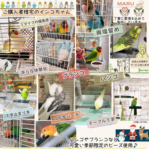 アクリル板止まり木セット 小型 中型 大型インコ兼用 風呂場 車窓 備長