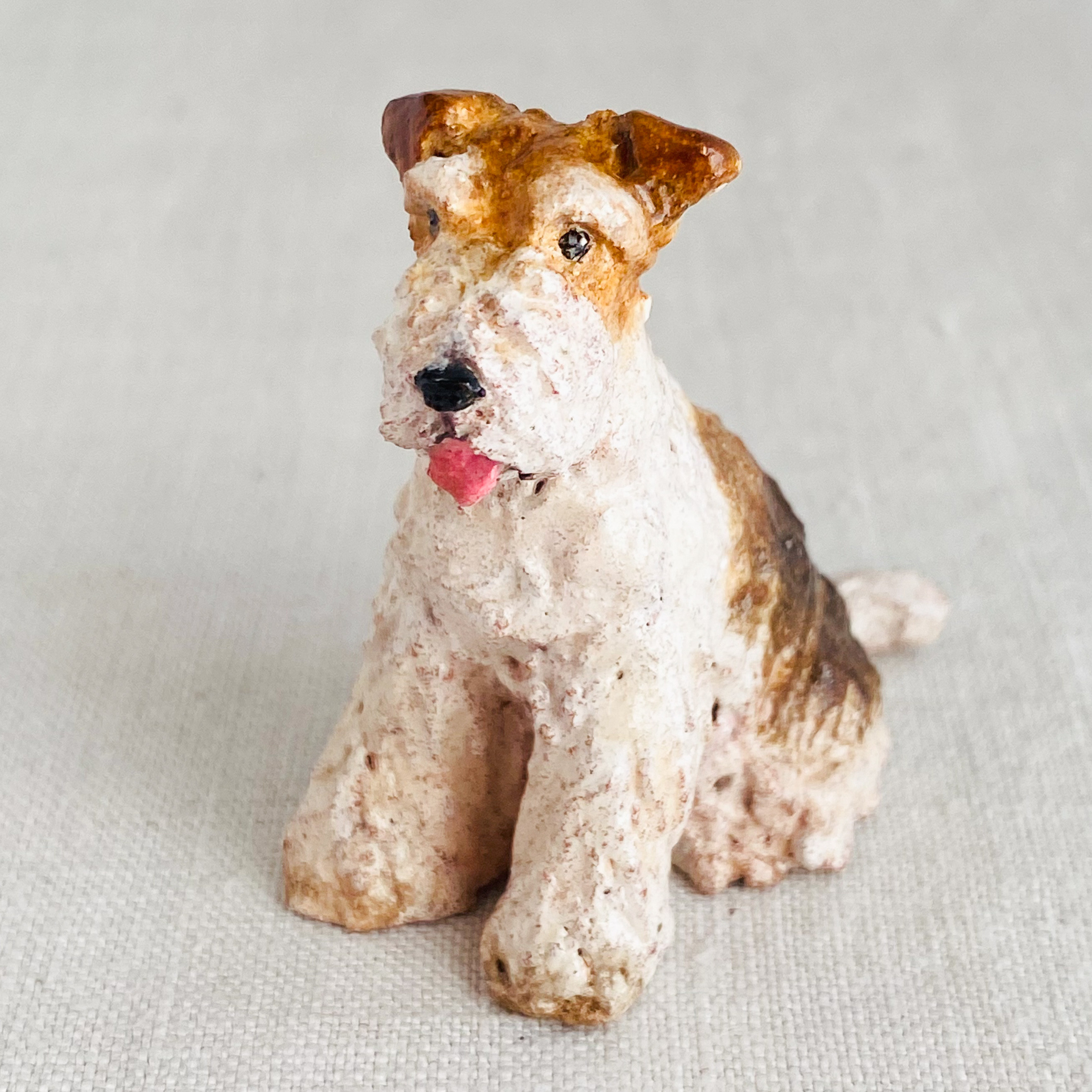 ワイヤーフォックステリア（wire fox terrier）
