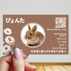 【受注後制作】背景色を選べる ペット名刺 50枚 フラワー no.01 5枚目の画像