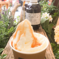 サラダをもっとおいしく楽しく！選べるSupplimentdressing1種とアールグレイコーディアル(無化調) 12枚目の画像