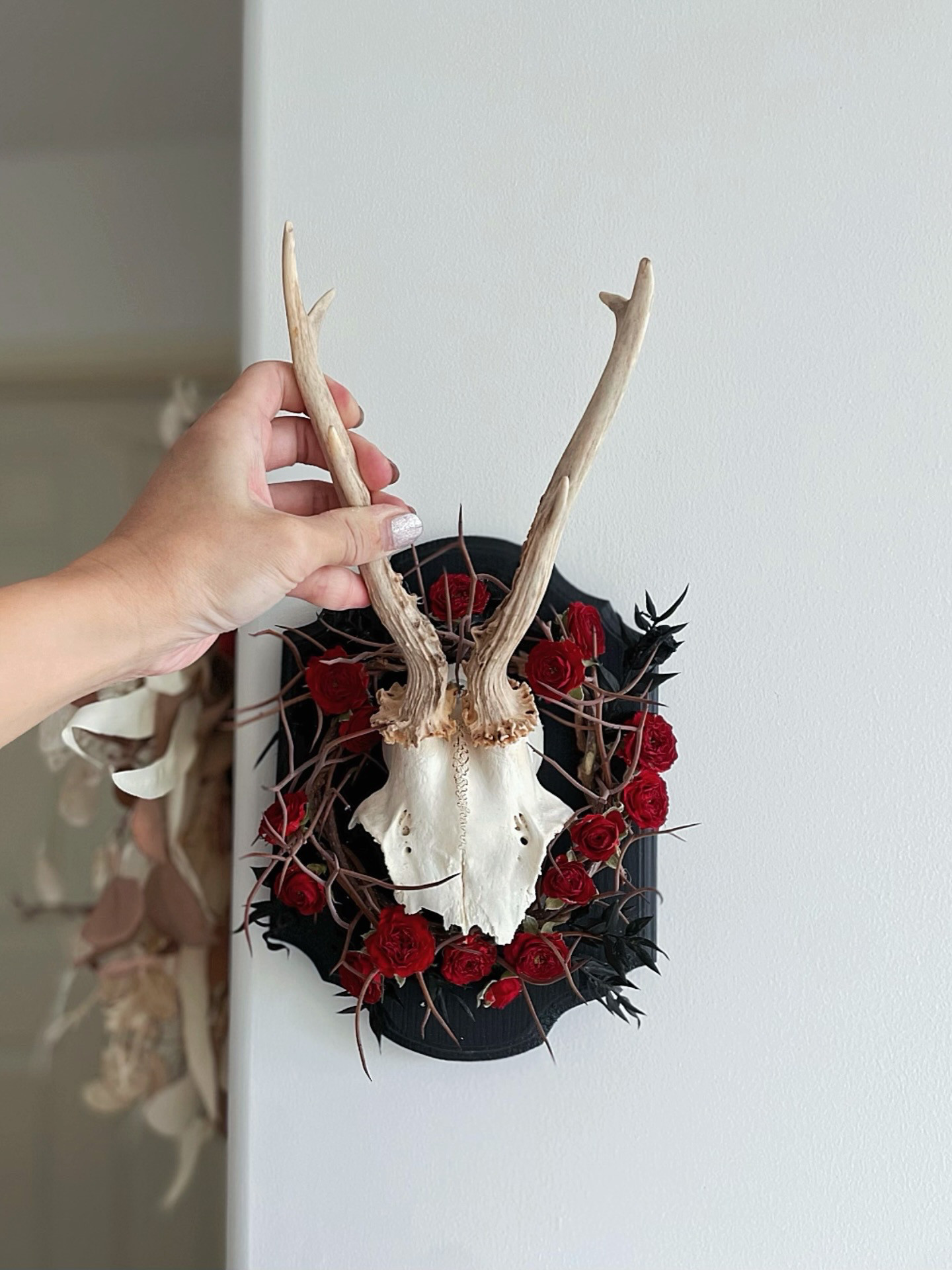 hunting trophy " rose thorns " ハンティングトロフィー 鹿角 ドライフラワー