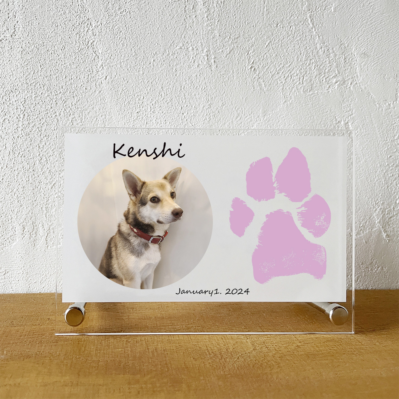 選べる色！★肉球足形★写真付！犬猫【思い出 記念 成長記録に】アクリルフォトスタンド 背景白（足形7cm程度）