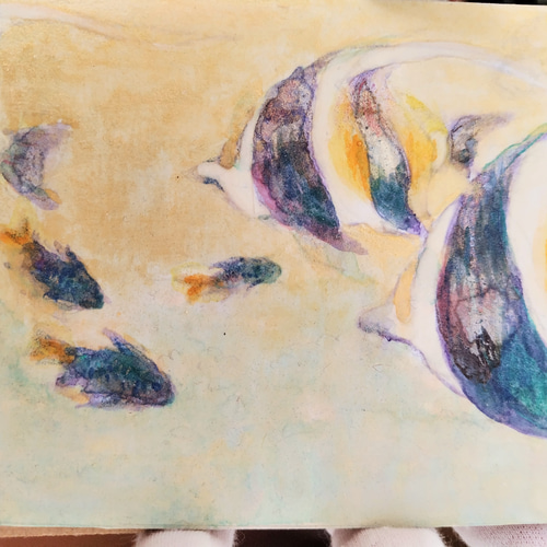 魚の水彩画 金色フレーム 魚の水彩画 金色フレーム 魚の水彩画 金色フレーム