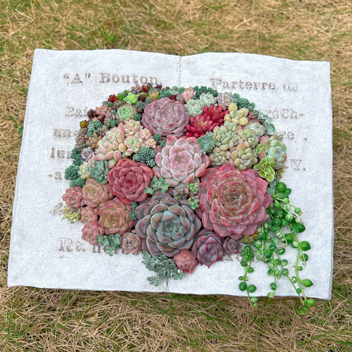 多肉植物　寄せ植え　BOOK型プランター♡ ✴︎受注制作✴︎ 多肉植物 寄せ植え BOOK型プランター♡ 多肉