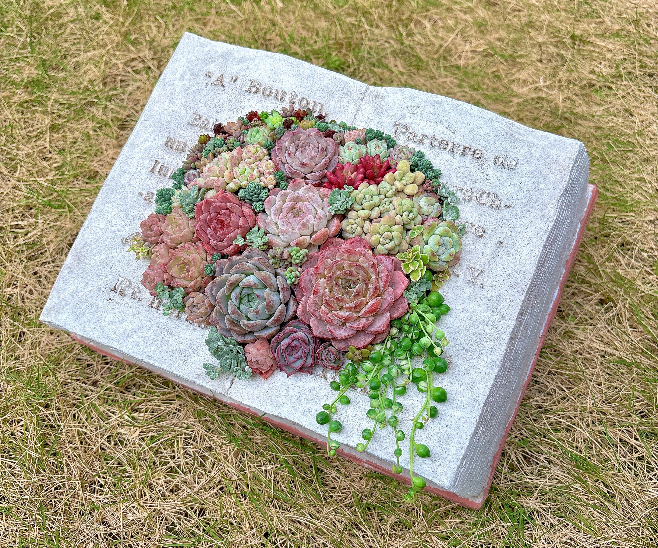 ✴︎受注制作✴︎ 多肉植物　寄せ植え　BOOK型プランター♡