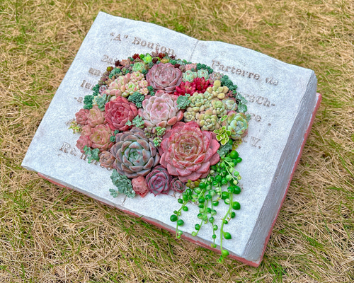 多肉植物　寄せ植え　BOOK型プランター♡ 8670007288b955c9bceb9d863848f3
