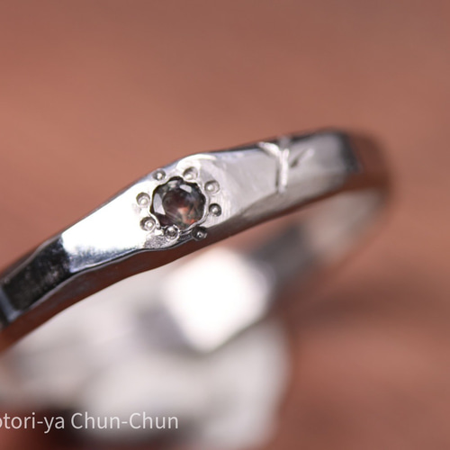 2024年の最高傑作】ブラジル産を超える最強変化 インド産