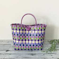 みるめ⭐︎プラカゴ　2点 プラカゴバッグ Lサイズ マルチボーダー柄 ゴールド系 プラカゴ pp