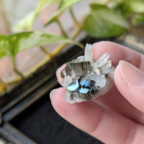 ☆パイライトwith水晶(パイライト＆水晶共生)☆ミニミニクラスター 125