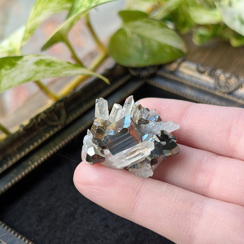 ☆パイライトwith水晶(パイライト＆水晶共生)☆ミニミニクラスター 125