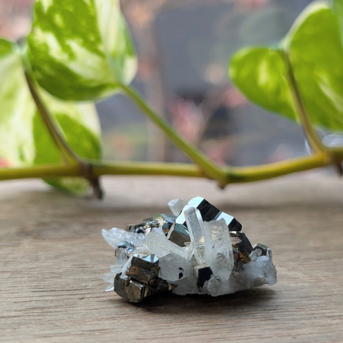 ☆パイライトwith水晶(パイライト＆水晶共生)☆ミニミニクラスター 125