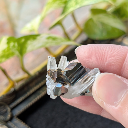 ☆パイライトwith水晶(パイライト＆水晶共生)☆ミニミニクラスター 125