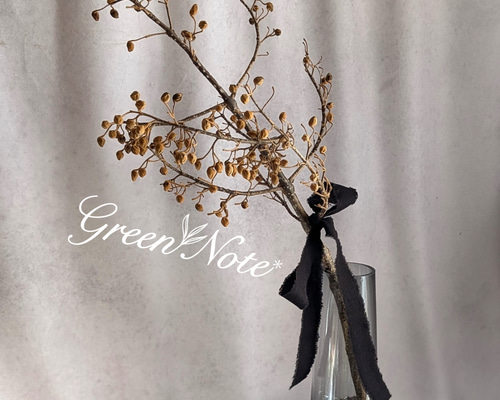 桐の実 ドライフラワー 長さ約60〜80cm 長枝8本 桐の実 ドライフラワー 長さ約60〜80cm 長枝8本 桐