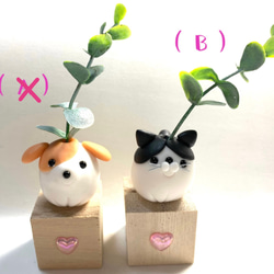 ☆ミニシリーズ ハロウィンのかぼちゃin黒猫ちゃん(送料無料)(受注生産