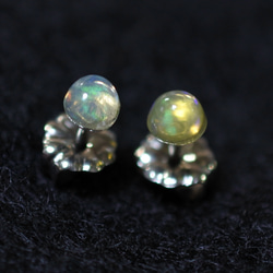 (1 件) 珍貴蛋白石耳環（4 毫米，鈦柱） 第2張的照片