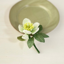 布花_専用ページです グラフィック社