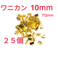 ネコポス最大サイズ 小箱  国内生産 ダンボール  Ａ４サイズ 段ボール コンポス ネコポス最大サイズ A4厚さ2.5cm対応 メール便ケース
