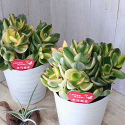 b979528981db8f6e7724976aabcdee