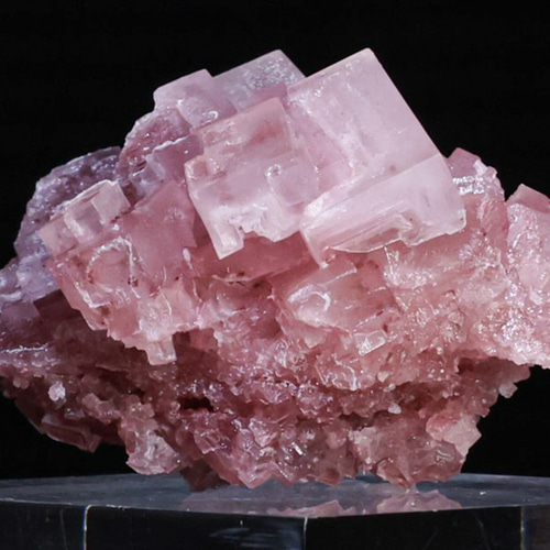 綺麗な色味＆フラクタル美造形】 天然 ピンク ハライト 20g 鉱物 標本