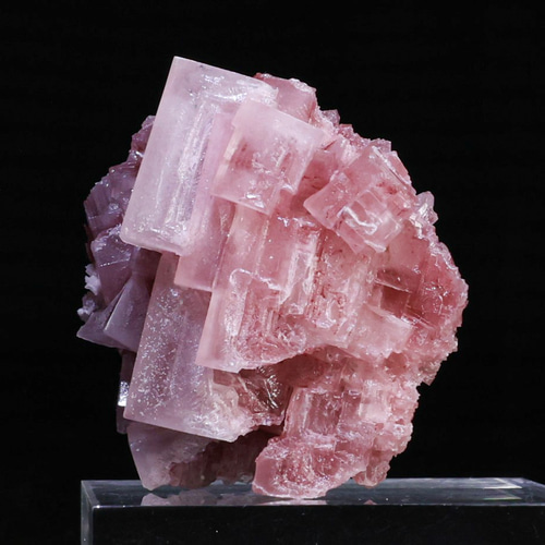 綺麗な色味＆フラクタル美造形】 天然 ピンク ハライト 20g 鉱物 標本