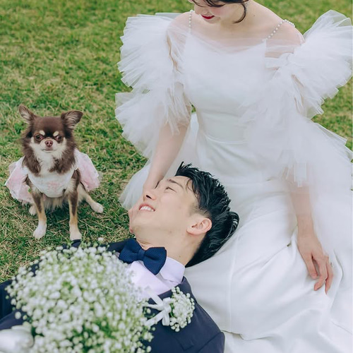 実例写真！人気上昇！ ウェディングドレス ツーピース ビーズの肩紐