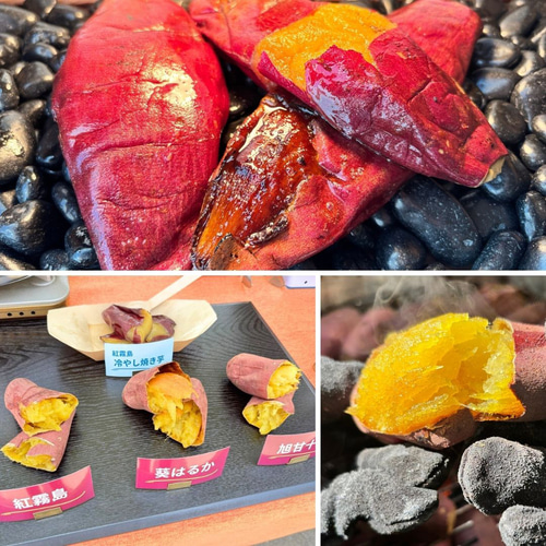 単品】業務用 焼き芋機|壺不要・炭火焼き芋器 軽量で簡単移動 単品】業務用 焼き芋機|壺不要・炭火焼き芋器 軽量で簡単移動