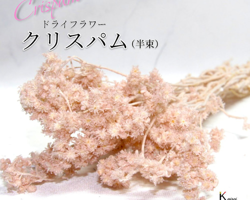確認用　　ドライフラワー ピンクベージュ束 確認用 ドライフラワー ピンクベージュ束 ドライフラワー花束 M