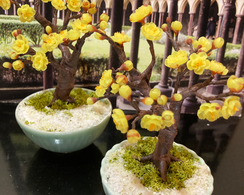 cdc30790026a9602e17268275ec8f9