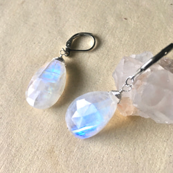 bf3ceabc64b6455ab15811a22e3ceb