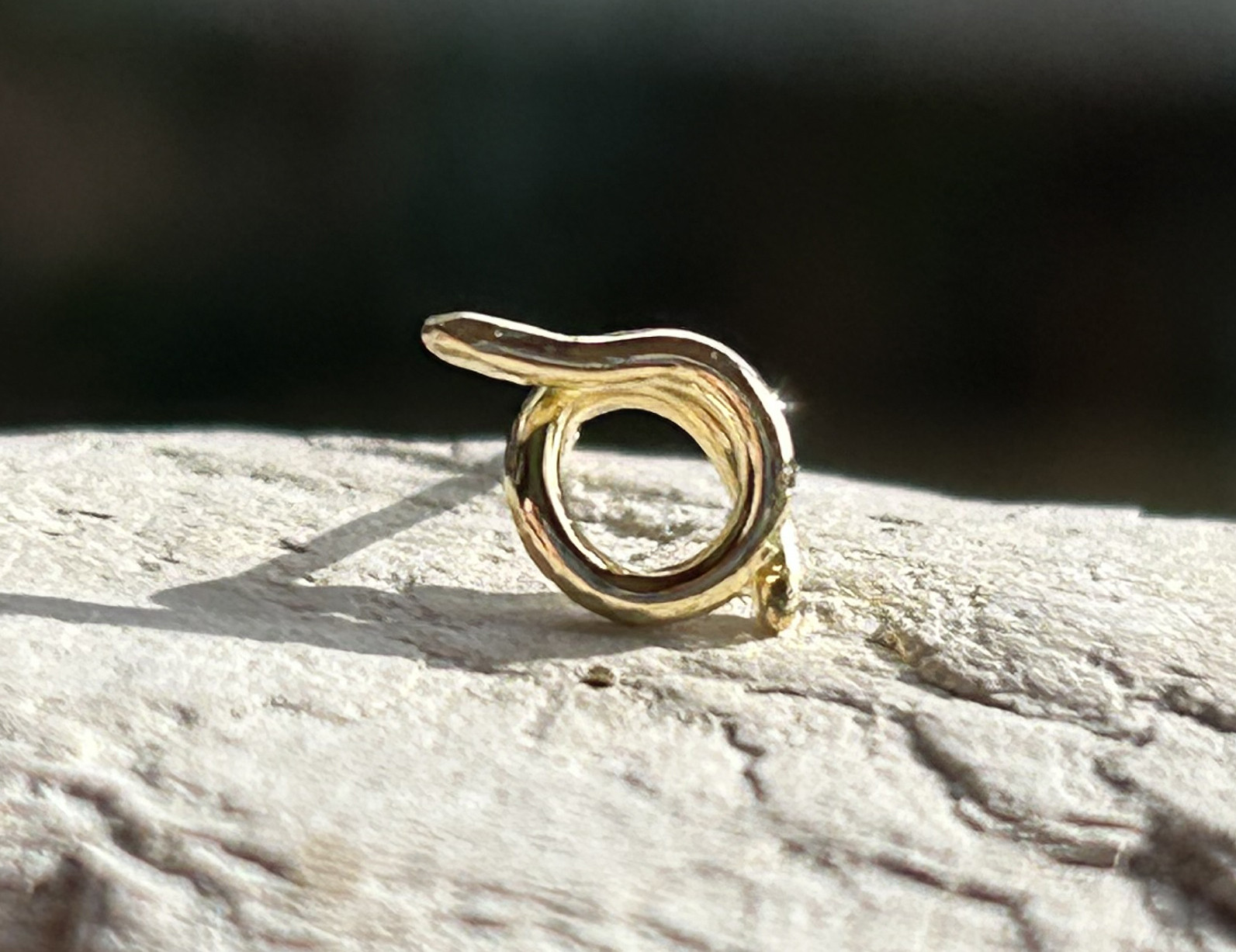 K18◇蛇スタッドピアス◇2025年干支◇K18 Snake Stud（片耳分～）