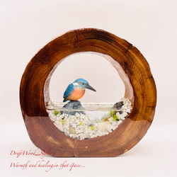 一つ限りの流木アート 水辺のカワセミ ジオラマ 流木 フィギュア 置物