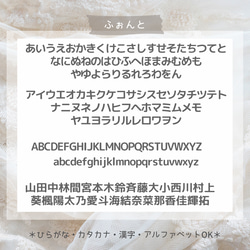 第6張的照片