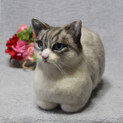 はなさま専用 羊毛フェルト 額飾り 「リアルで可愛いネコちゃん」 羊毛フェルト オーダー 額飾り「リアルで可愛いワンちゃんネコ