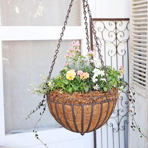 花デザイン アイアン製バスケット 現品販売 花寄せ植え フリルパンジー＆ネメシア＆ローダンセマム 吊り