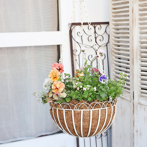 現品販売 花寄せ植え フリルパンジー＆ネメシア＆ローダンセマム 吊り