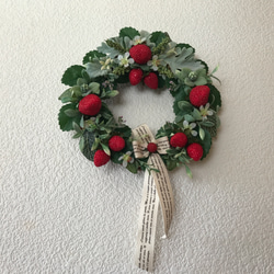 《新作＊再販×2＊予約承ります》ストロベリーとダスティミラーのデザイングリーンリース28ｃｍ 2枚目の画像
