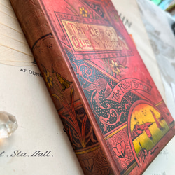 Happy price20%off】英国で出会った♪ アンティーク 古書 1890
