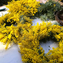 早早割】2026予約 春の庭からフレッシュミモザとユーカリのリース