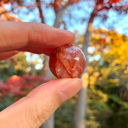 10%オフ］再生と復活のフェニックス〜リモナイト・イン・クォーツ