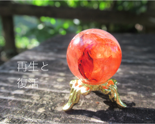 ec3ee0fc22d6fa4dd48a0f1e2e1b3d