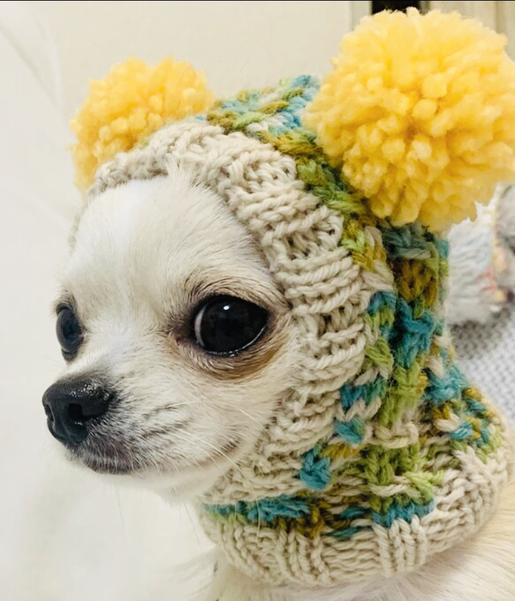 ☆ めぐみのこ様 犬ハンドメイドニット ☆ ☆ めぐみのこ様 犬ハンドメイドニット ☆ 犬セーターの人気通販