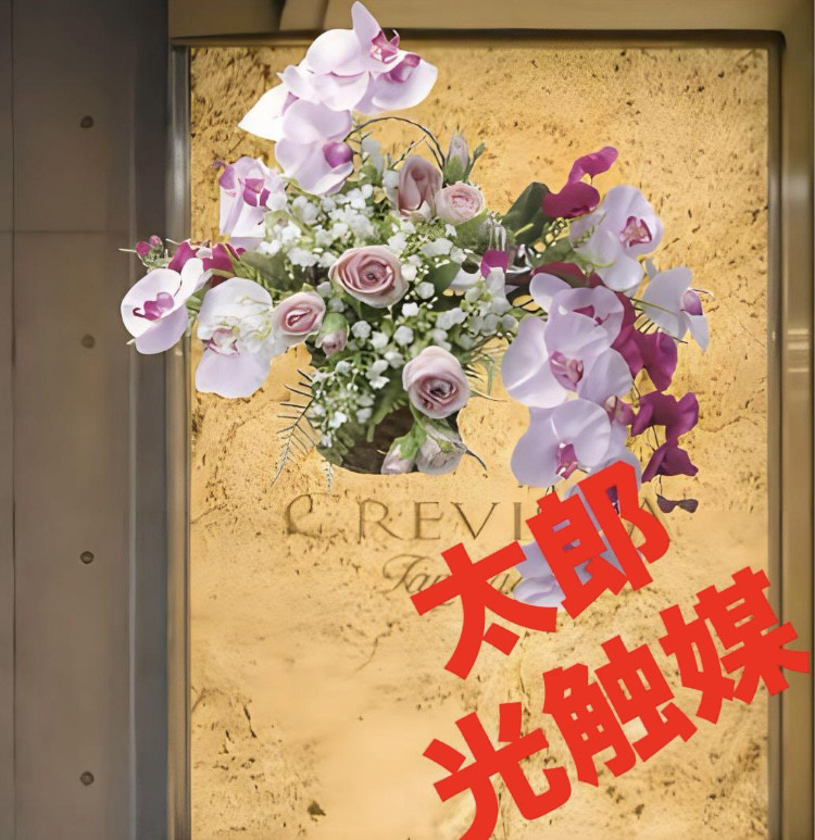 光触媒　人工観葉植物　ウォールグリーン　フェイクグリーン　壁掛けエスファレノ