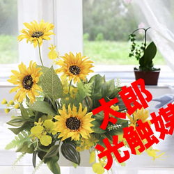 観葉植物 フェイクグリーン のおすすめ人気通販 検索結果 観葉植物 フェイクグリーン のおすすめ人気通販 検索結果